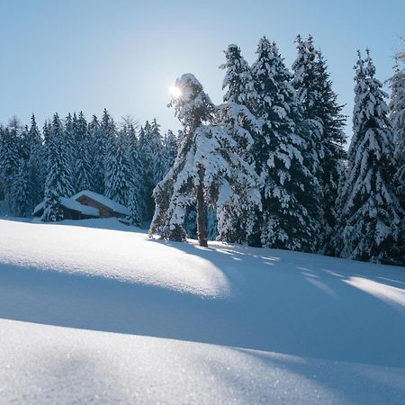 Cityview Brixen Bagian luar foto